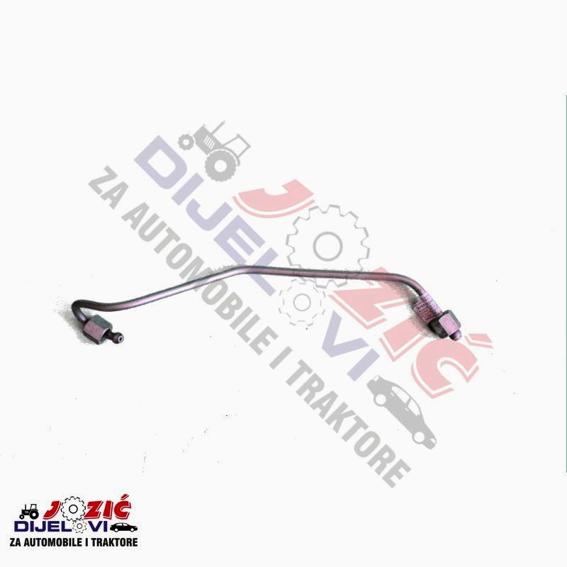 Daisy on the Ohoopee